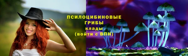 индика Зерноград
