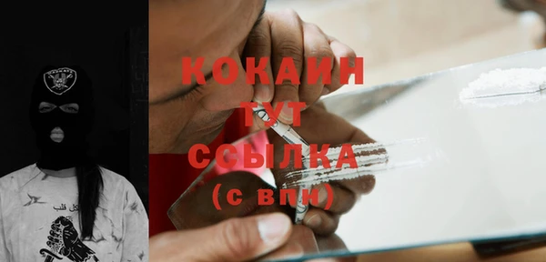 индика Зерноград