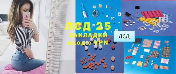индика Зерноград