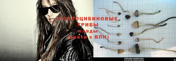 индика Зерноград
